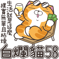 [LINEスタンプ] ランラン猫 58 (台湾版)