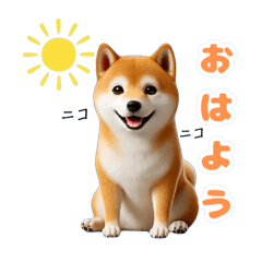 [LINEスタンプ] 日常スタンプ 柴犬