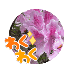 [LINEスタンプ] 風にそよぐ花々からのメッセージスタンプ