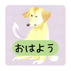 [LINEスタンプ] かわいい犬の日常会話