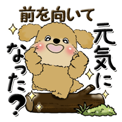 [LINEスタンプ] プードル 『明るく元気に』前を向いて