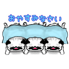 [LINEスタンプ] パグ＊スタンプ / 3