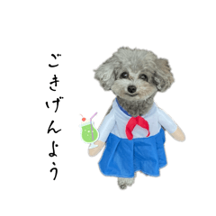 [LINEスタンプ] WATAKE〜わったん〜