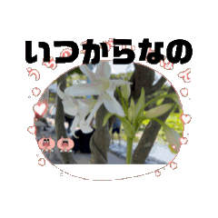 [LINEスタンプ] ちょっとしたスタンプ頂戴