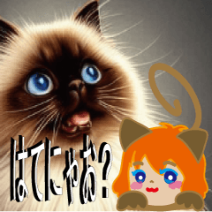 [LINEスタンプ] チャッキーの日常（猫と一緒編）