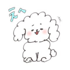 [LINEスタンプ] しろいろプードルの日常スタンプ