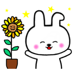 [LINEスタンプ] 白うさぎの夏を感じるスタンプ♡