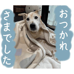 [LINEスタンプ] ブライアンと仲間たちPart2