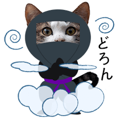 [LINEスタンプ] 動く！忍び猫見参！