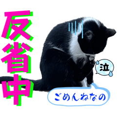 [LINEスタンプ] かわちいくんくん