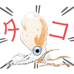 [LINEスタンプ] タコブネさんの毎日挨拶（日常編）