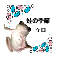 [LINEスタンプ] イエアメガエル 梅雨編