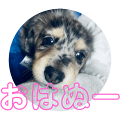 [LINEスタンプ] ぬぅ活してますか