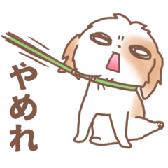 [LINEスタンプ] むぎゅっとシーズー犬。4