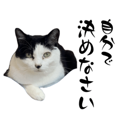 [LINEスタンプ] みい子からあなたへ