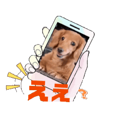 [LINEスタンプ] 動くミニチュアダックス