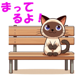 [LINEスタンプ] どうぶつスタンプ「シャムネコ ナムタン」