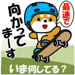 [LINEスタンプ] 動く！豆柴「いま何してる？」