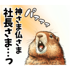 [LINEスタンプ] 働かないためなら何でもやる動物たち