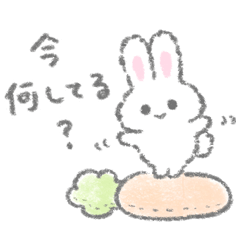 [LINEスタンプ] 白いこうさぎのいま何してる？スタンプの画像（メイン）