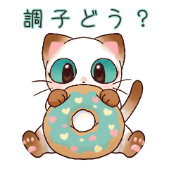 [LINEスタンプ] 調子どう？トンキニーズの子猫スタンプ