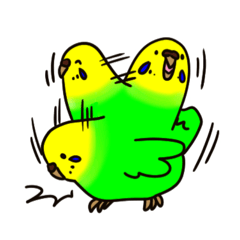 [LINEスタンプ] セキセイインコのピーコちゃん