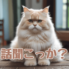 [LINEスタンプ] かわいいふわふわ猫のスタンプ