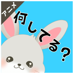 [LINEスタンプ] 【ハピラビ】今、◯◯中！【よく使う】