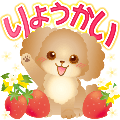 [LINEスタンプ] 毎日使える！可愛いトイプードル！の画像（メイン）