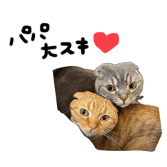 [LINEスタンプ] ふたりのねこすたんぷ3パパと一緒