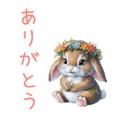 [LINEスタンプ] いろんなかわいい動物スタンプ︎ ︎