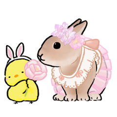 [LINEスタンプ] うさぽんのかわいいうさぎさんスタンプ