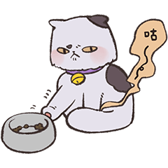 [LINEスタンプ] 猫はとても毛皮が多い