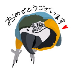 [LINEスタンプ] 敬語なコンゴウインコ