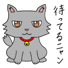 [LINEスタンプ] 癒し猫のスタンプ