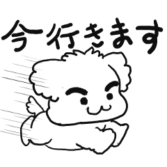 [LINEスタンプ] 眉毛マルチーズ はっきりスタンプ