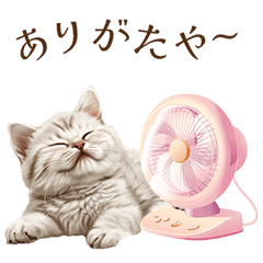 [LINEスタンプ] 夏を感じる子猫のスタンプ