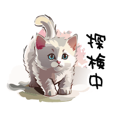 [LINEスタンプ] 猫さんの＜近況報告＞