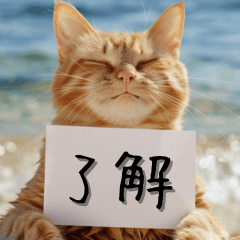 [LINEスタンプ] 伝われ！猫メッセージ。の画像（メイン）