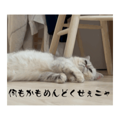 [LINEスタンプ] ペムチャスタンプ