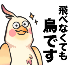 [LINEスタンプ] 面白いオカメインコのスタンプ