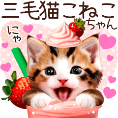 [LINEスタンプ] にゃ！猫語の三毛猫こねこちゃん 365daysの画像（メイン）