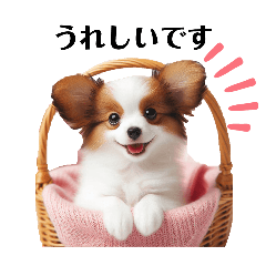 [LINEスタンプ] かわいいパピヨンの犬スタンプ