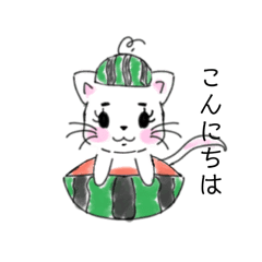 [LINEスタンプ] 夏につかえるネコスタンプ