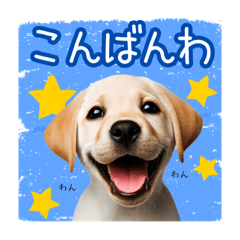 [LINEスタンプ] 敬語を使うラブラドールレトリバー