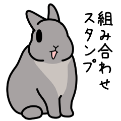 [LINEスタンプ] もしも、うさぎと一緒なら 第4弾 32個