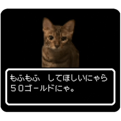 [LINEスタンプ] ベンガル猫ですが何か？(RPG風)