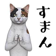 [LINEスタンプ] 三毛猫のブオナ