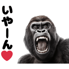 [LINEスタンプ] 愛の告白をするゴリラ