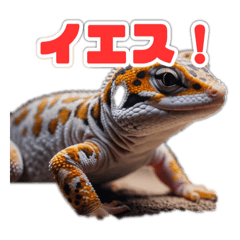 [LINEスタンプ] 爬虫類パラダイス